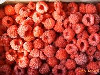IQF whole raspberry
