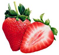 Strawberry Juice Concentrate