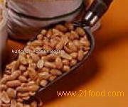 Roasted Peanuts