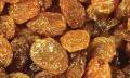 dried  seedless  grape sultanas raisin