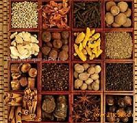 Organic  Spices 