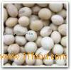 GMO Soybean
