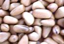 Pine nuts in shell