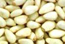 Pine nut kernels