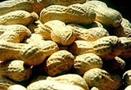 Peanuts in shell