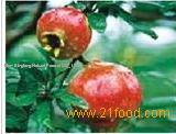 Pomegranate extract