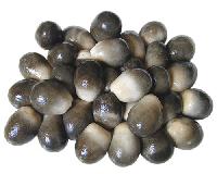 CANNED  STRAW   MUSHROOM ( WHOLE )