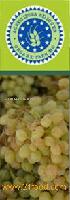 ORGANIC WINE VINEGARS