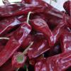 Yidu dried chilli