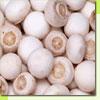 IQF Champignons