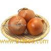 Coated  Roasted   Onion  Powder