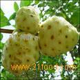 Noni Powder, Extract, Juice, Concentrate