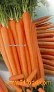 Carrots