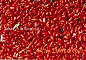  Lycium   Berry   Extract 