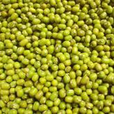 Mung green beans of Yulin origin