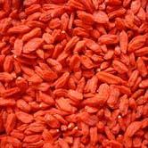 Green food Ningxia Wolfberry