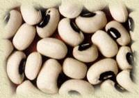 Cowpea,black eyed -pea,crowder pea,castilla