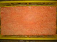 Salmon blocks