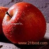 Apple Juice Concentrate