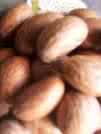 Garcinia  Bitter  Kola Nut seeds