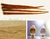 Burdock oligosaccharide