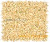 Rice Variety Identification