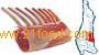 Lamb Frenched rack vp 3552