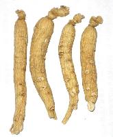 Organic Chinese  White   Ginseng   Root s