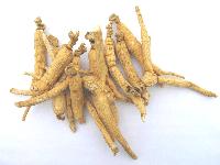 Ginseng roots