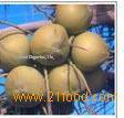 Coconut