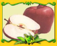 Red delicious apples