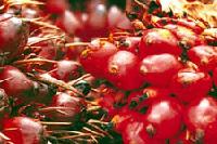 Palm  Oil  and crude palm  oil  with many others