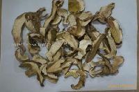 Porcini mushroom