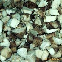 Frozen_Boletus_Edulis