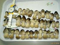 Strawmushroom in brine