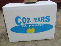Crystal ya pear