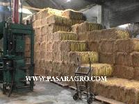  Coco   Fiber 