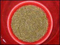 Vinegar Water Shield