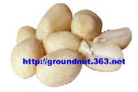 Blanched Peanuts