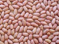 Peanut kernel