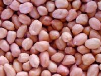 Peanut  inshell  peanut kernel