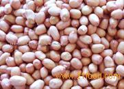 Round Small Peanut Kernels