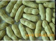 Red Skin Peanut Inshell