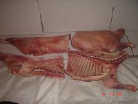  Lamb  4  cuts 
