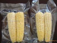 IQF  sweet  corn   cob 