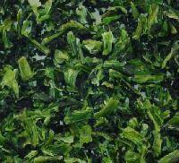 AD Chinese Cabbage