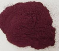 FD Blueberry Powder