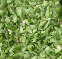 FD Green Bell Pepper