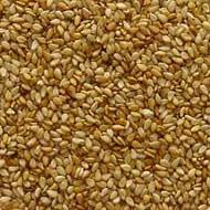 SESAM SEED FROM INDIA /ARGENTINA.