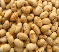 Dry  roasted  & salted  soy a beans
